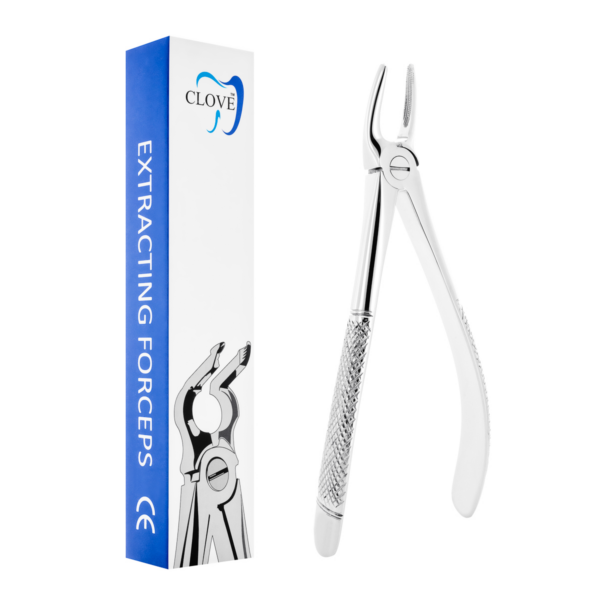 Berten extraction forceps Fig. 30