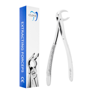 Berten dental extraction forceps