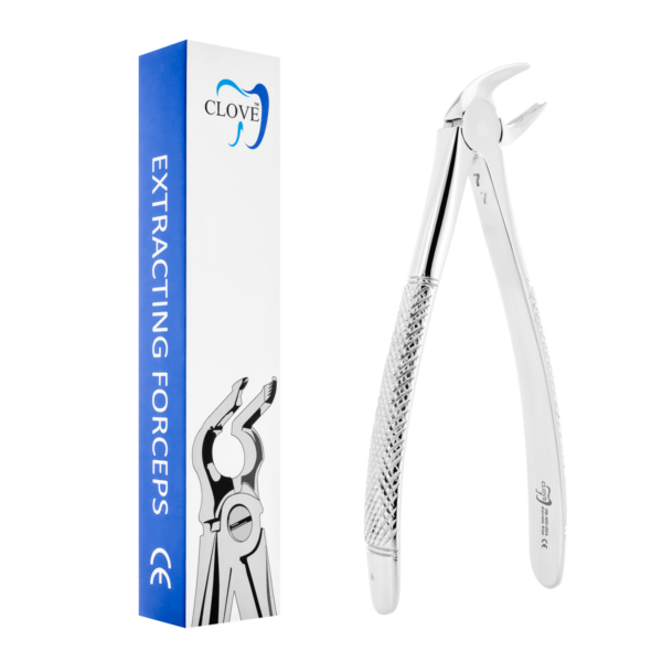 Berten forceps of canines and incisors