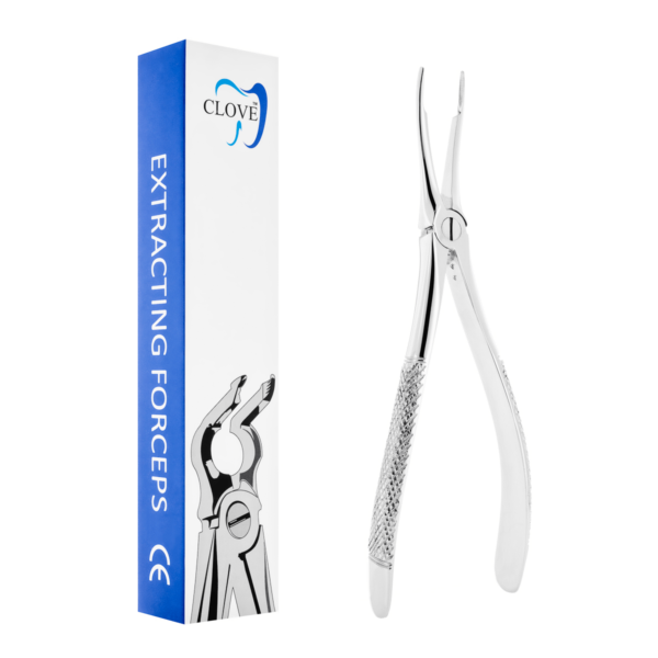 Berten extraction root forceps of upper teeth